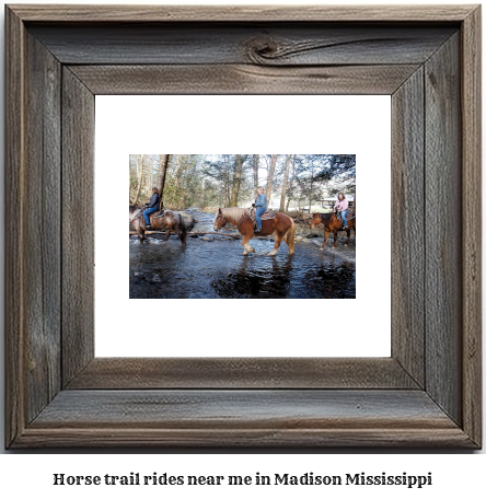 horse trail rides near me in Madison, Mississippi